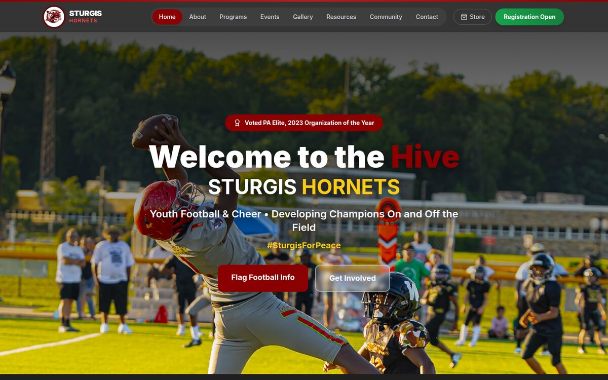 Hornets Youth Sports website